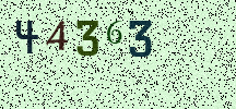 Visual Confirmation Security Code