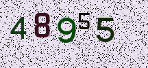 Visual Confirmation Security Code