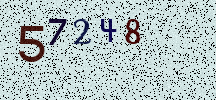 Visual Confirmation Security Code