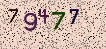 Visual Confirmation Security Code