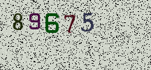Visual Confirmation Security Code