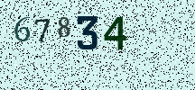 Visual Confirmation Security Code