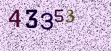 Visual Confirmation Security Code