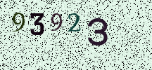 Visual Confirmation Security Code