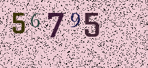 Visual Confirmation Security Code