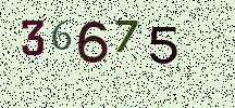 Visual Confirmation Security Code