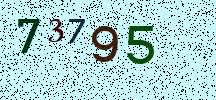 Visual Confirmation Security Code