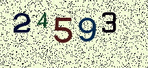 Visual Confirmation Security Code