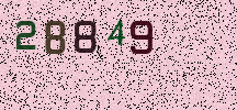 Visual Confirmation Security Code