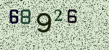Visual Confirmation Security Code