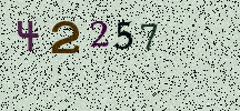 Visual Confirmation Security Code