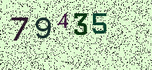 Visual Confirmation Security Code