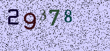 Visual Confirmation Security Code