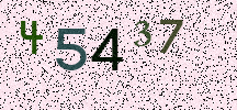 Visual Confirmation Security Code