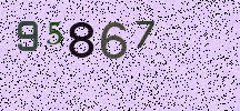 Visual Confirmation Security Code