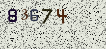 Visual Confirmation Security Code