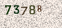 Visual Confirmation Security Code