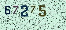 Visual Confirmation Security Code