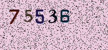 Visual Confirmation Security Code