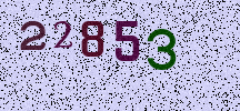 Visual Confirmation Security Code