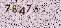Visual Confirmation Security Code