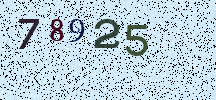 Visual Confirmation Security Code