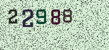 Visual Confirmation Security Code