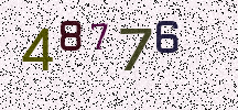 Visual Confirmation Security Code