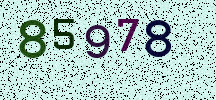 Visual Confirmation Security Code
