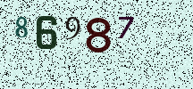 Visual Confirmation Security Code