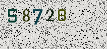 Visual Confirmation Security Code