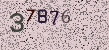 Visual Confirmation Security Code