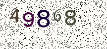 Visual Confirmation Security Code