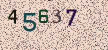 Visual Confirmation Security Code