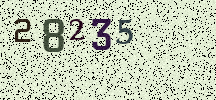 Visual Confirmation Security Code