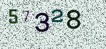 Visual Confirmation Security Code