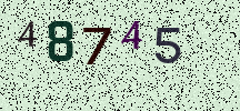 Visual Confirmation Security Code