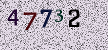 Visual Confirmation Security Code
