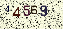Visual Confirmation Security Code