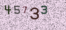 Visual Confirmation Security Code