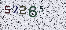 Visual Confirmation Security Code