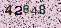 Visual Confirmation Security Code