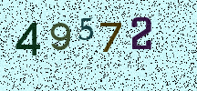 Visual Confirmation Security Code