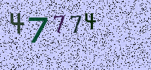 Visual Confirmation Security Code