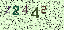 Visual Confirmation Security Code
