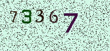 Visual Confirmation Security Code