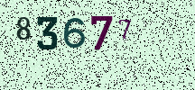 Visual Confirmation Security Code