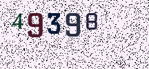 Visual Confirmation Security Code