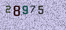 Visual Confirmation Security Code