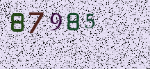 Visual Confirmation Security Code